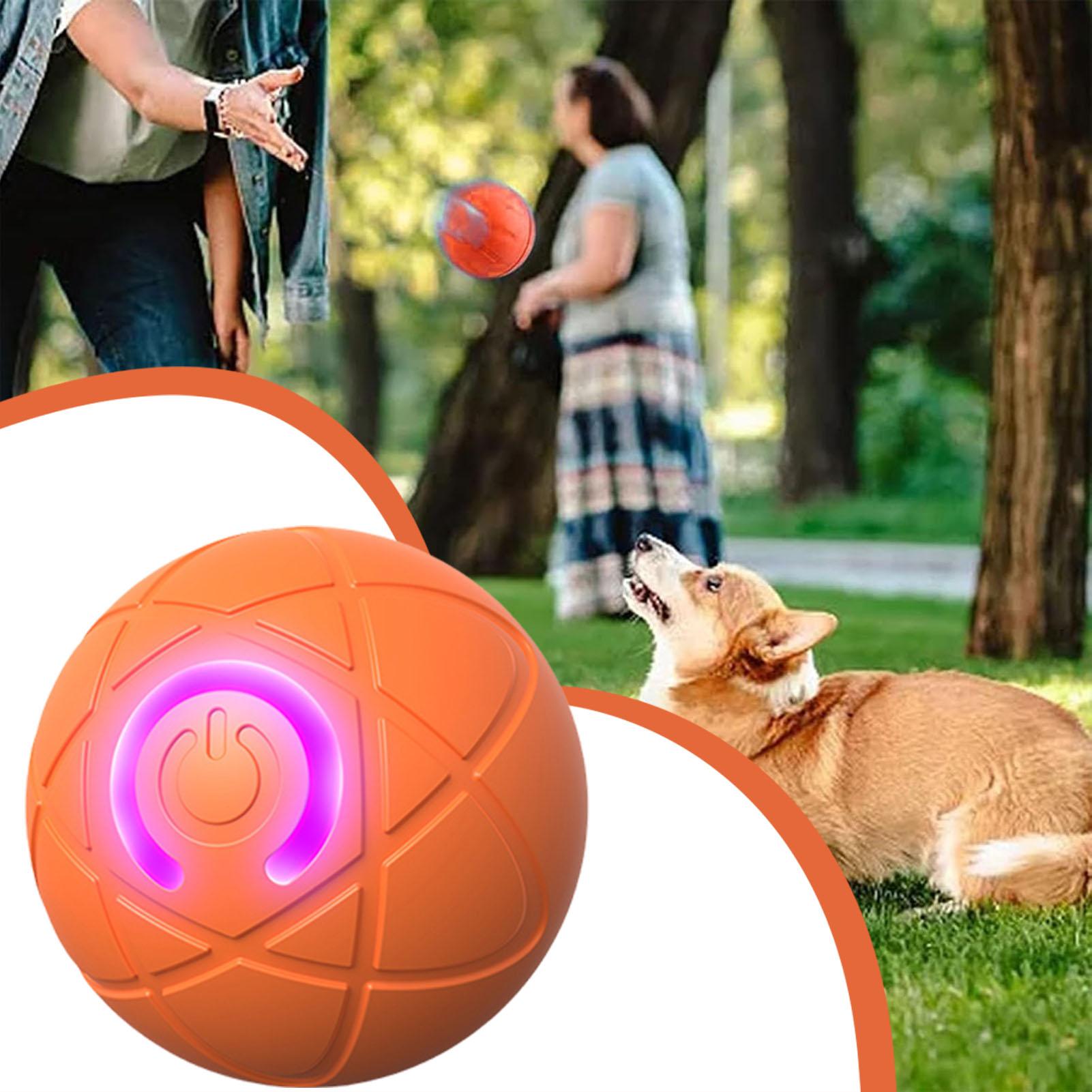 Köpek Oyuncak Topu İnteraktif  - Automatic Moving Dog Ball incelemesi ve fiyatı