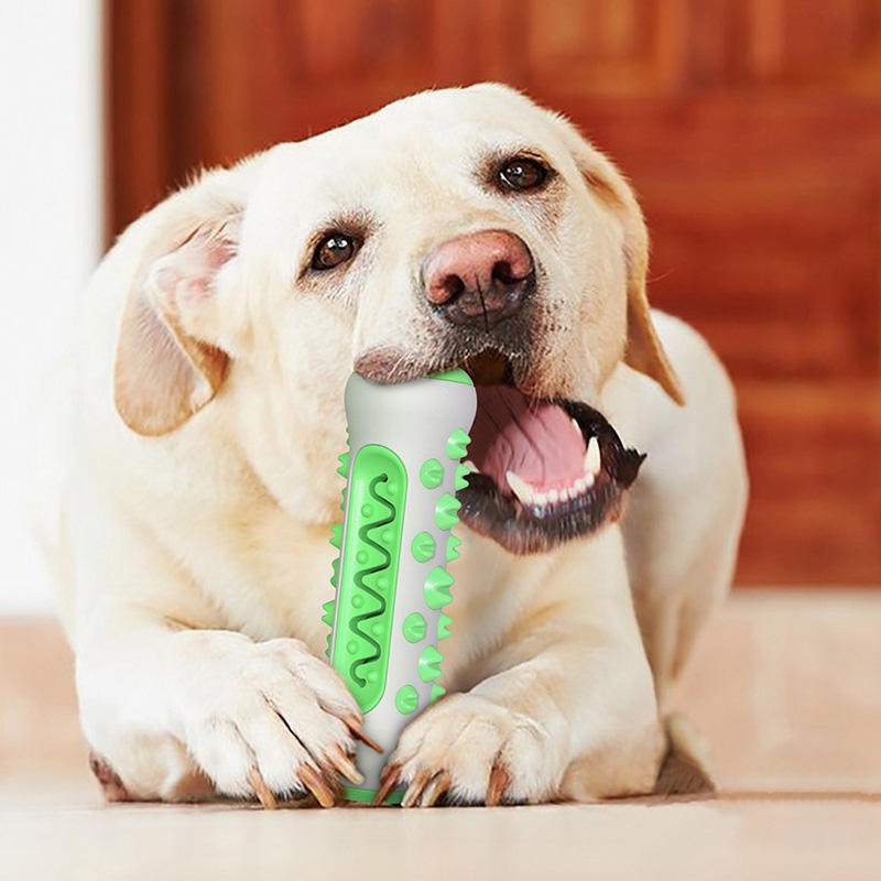TPR Köpek Diş Temizleme Çubuğu - Teeth Cleaning Dog Chew Bone incelemesi ve fiyatı