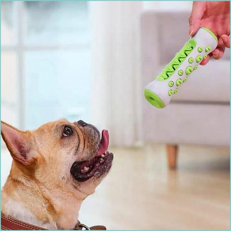 TPR Köpek Diş Temizleme Çubuğu - Teeth Cleaning Dog Chew Bone incelemesi ve fiyatı