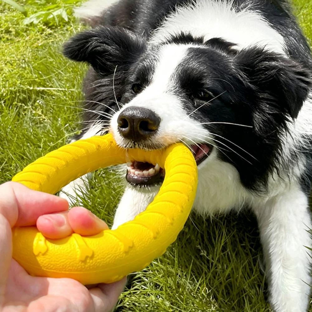 Küçük, Orta ve Büyük Köpekler  - Indestructible Dog Chew Toy incelemesi ve fiyatı