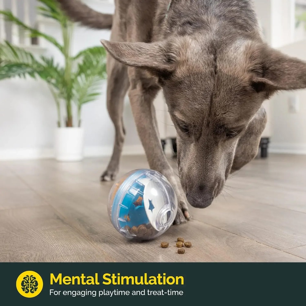 IQ Treat Ball Köpek Ödül Mamas - Dog Puzzle Feeder Toy incelemesi ve fiyatı